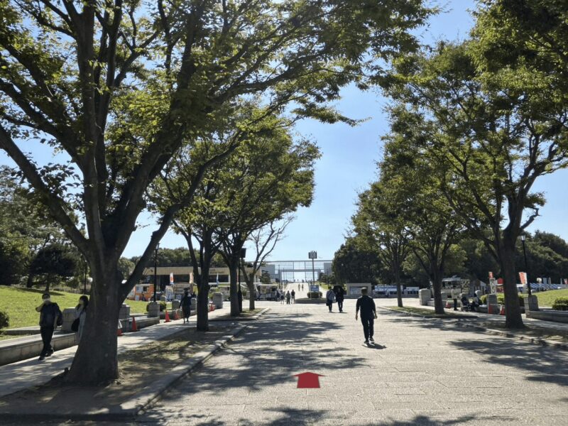 kasairinkaisuizokuen11