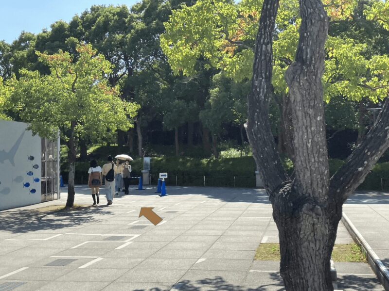 kasairinkaisuizokuen15