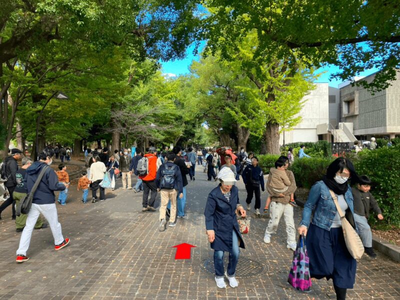 national_museum_of_nature_and_science3