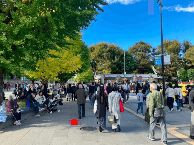 national_museum_western_of_western_art_10