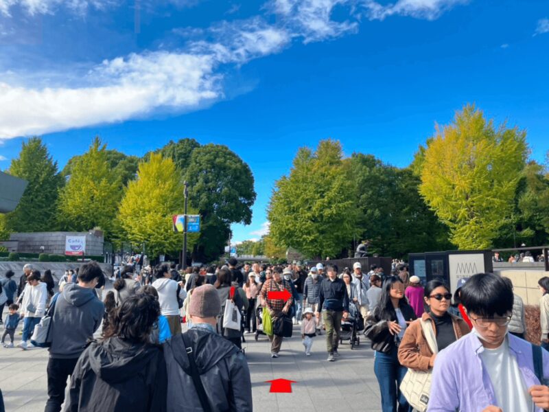 national_museum_western_of_western_art_11