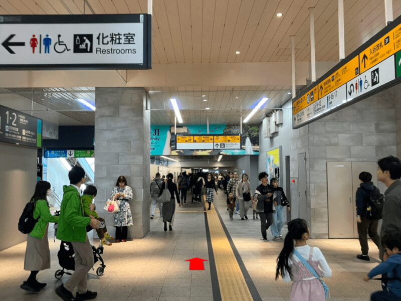 national_museum_western_of_western_art_6