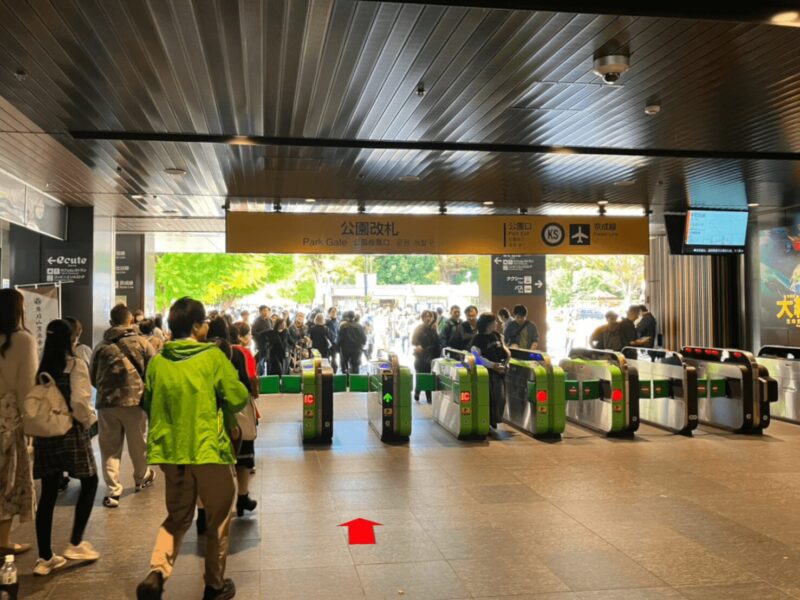 national_museum_western_of_western_art_8