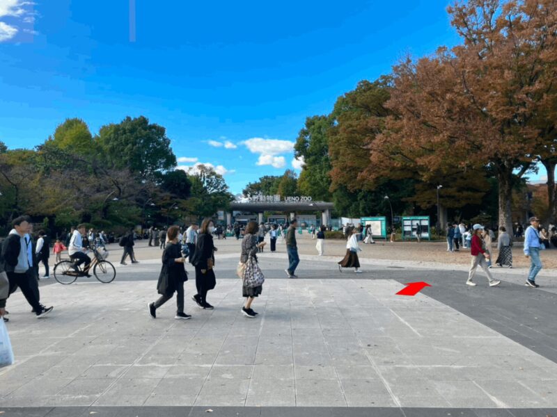 tokyo-metropolitan-art-museum1