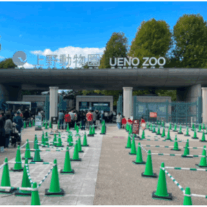 上野動物園へのアクセス｜上野駅から上野動物園への行き方