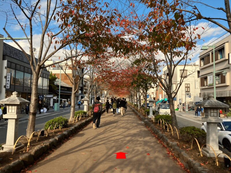 tsurugaoka hachimangu shrine3